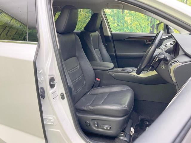 25865970_carP_l_17.jpg