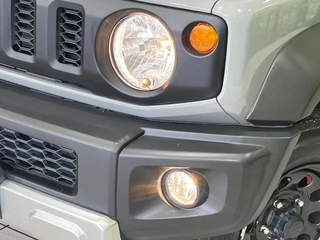 26292875_carP_l_7.jpg