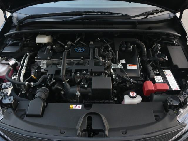 23382188_carP_l_17.jpg