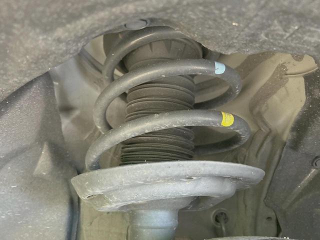 23244105_carP_l_20.jpg