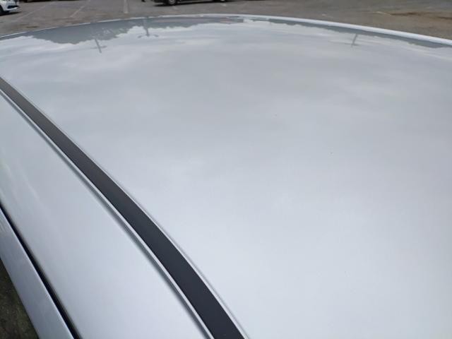 26917028_carP_l_14.jpg