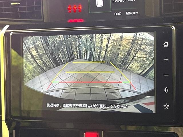 25384223_carP_l_10.jpg