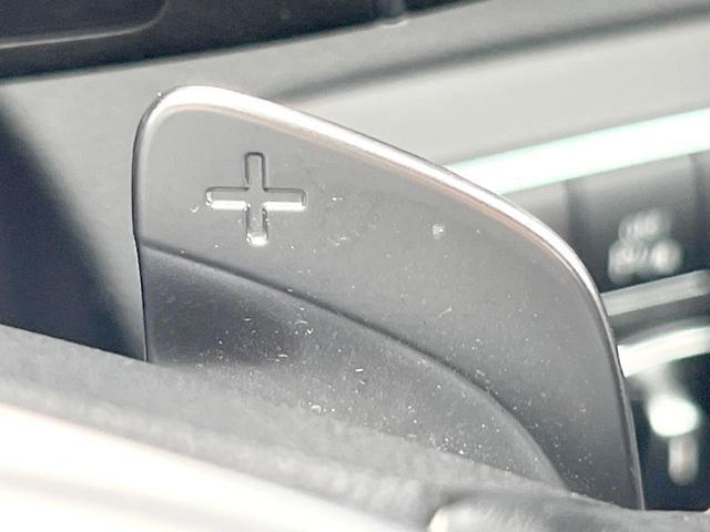23615432_carP_l_17.jpg