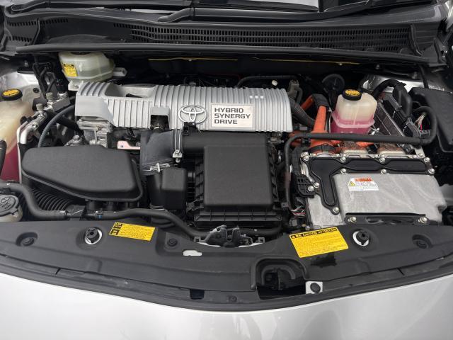 24825062_carP_l_17.jpg