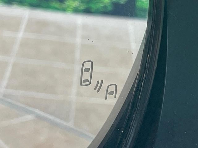 25866129_carP_l_13.jpg
