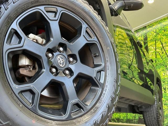 25384818_carP_l_7.jpg