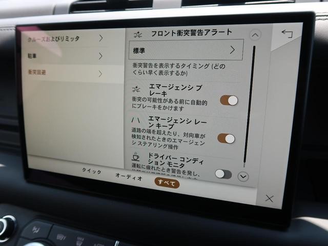 24891611_carP_l_7.jpg