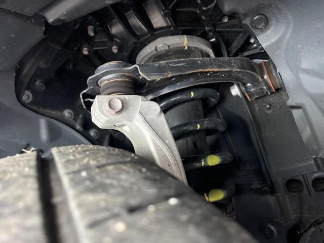 24561812_carP_l_20.jpg