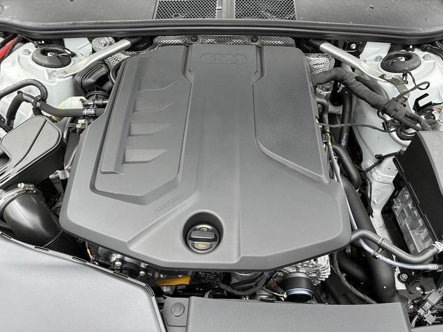23630228_carP_l_12.jpg