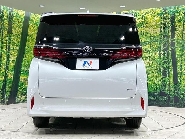 26147079_carP_l_11.jpg