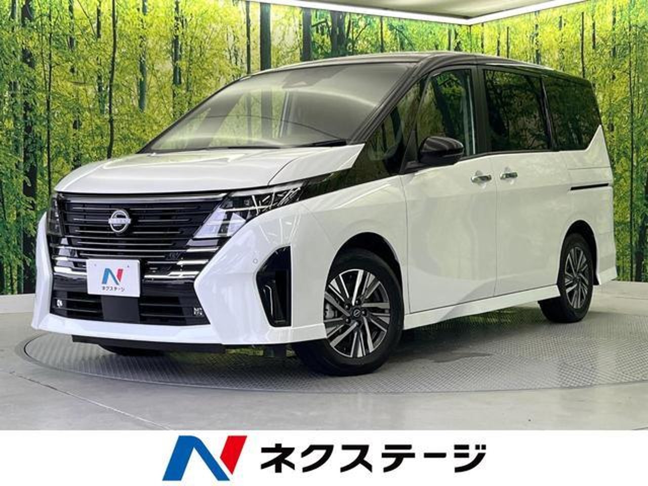2023 Nissan Serena, photo 1 of 1