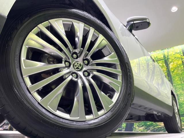 26731797_carP_l_7.jpg