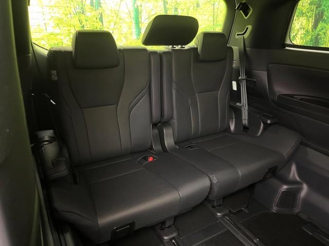 24994751_carP_l_2.jpg