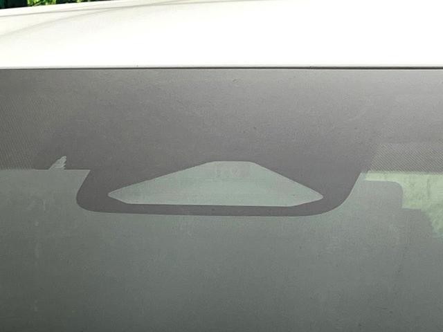 24994751_carP_l_4.jpg
