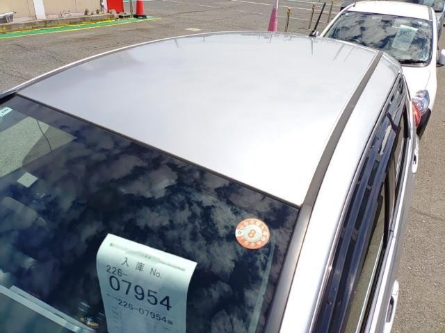 26028341_carP_l_14.jpg