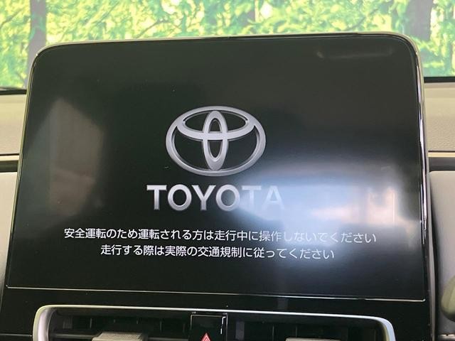 26063640_carP_l_4.jpg