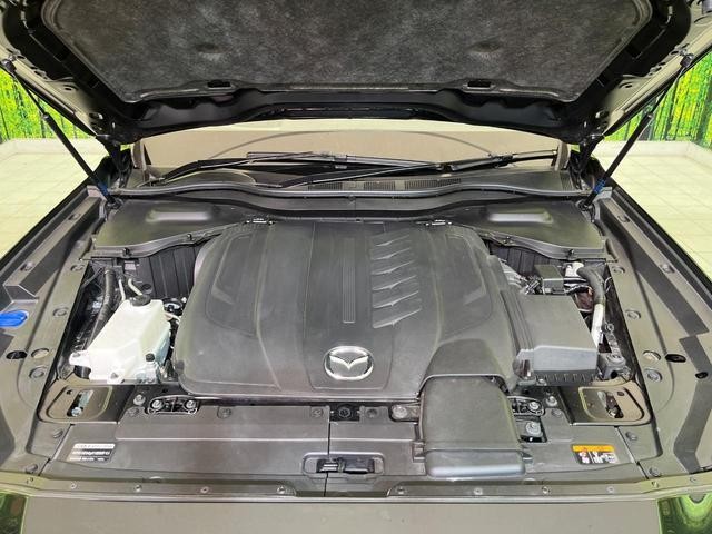 26126572_carP_l_16.jpg
