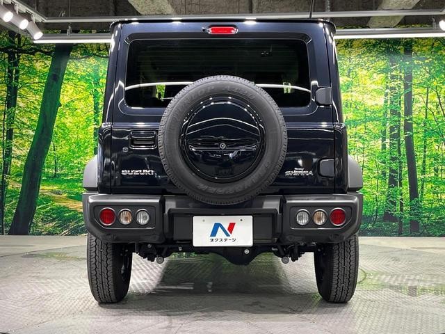 26043641_carP_l_9.jpg