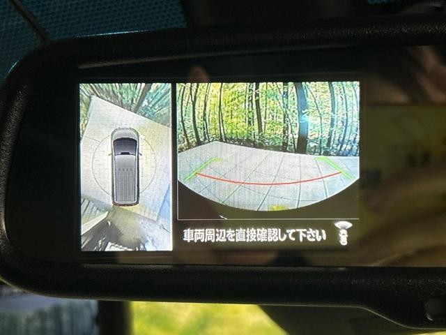24030724_carP_l_4.jpg