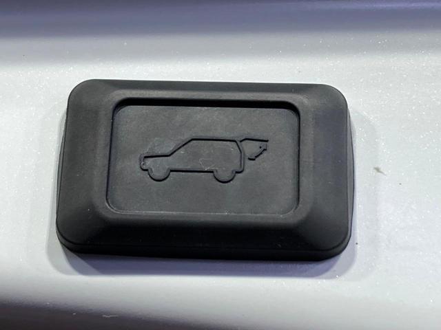 23437618_carP_l_14.jpg