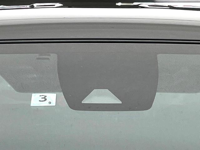 24994754_carP_l_15.jpg