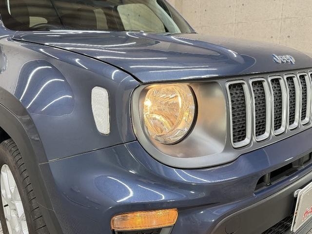 26058299_carP_l_7.jpg