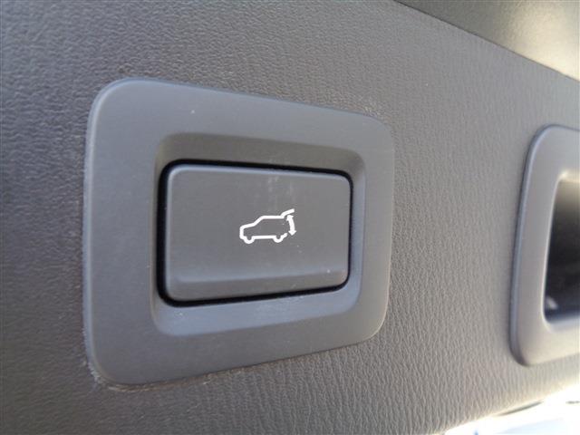 23689131_carP_l_9.jpg