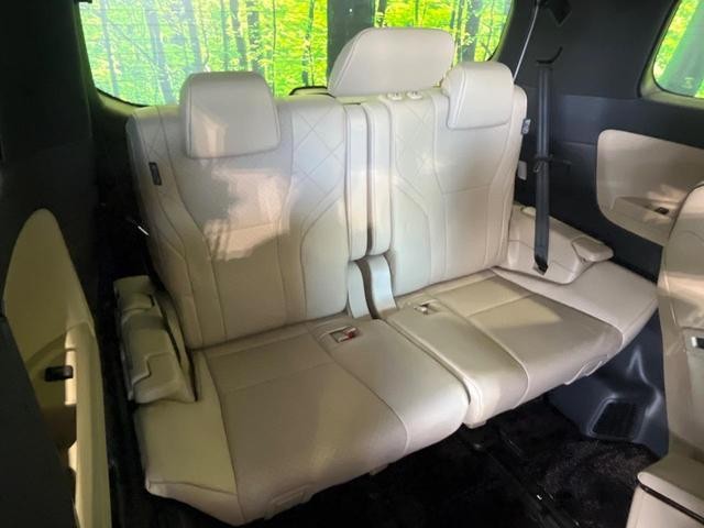 26468810_carP_l_19.jpg