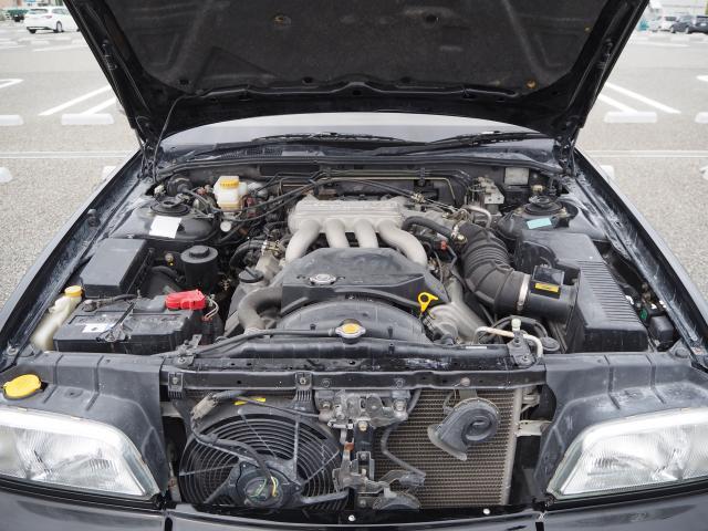 23410621_carP_l_12.jpg