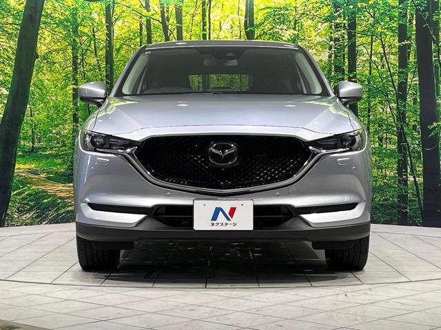 23715767_carP_l_8.jpg