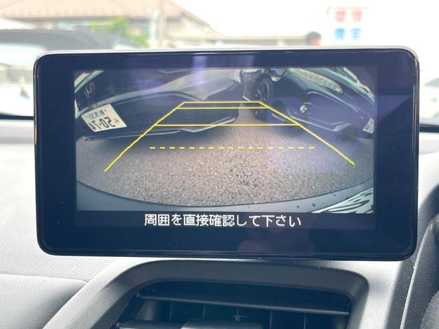 24891682_carP_l_10.jpg