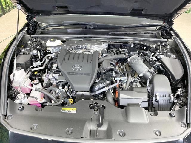 24686356_carP_l_12.jpg