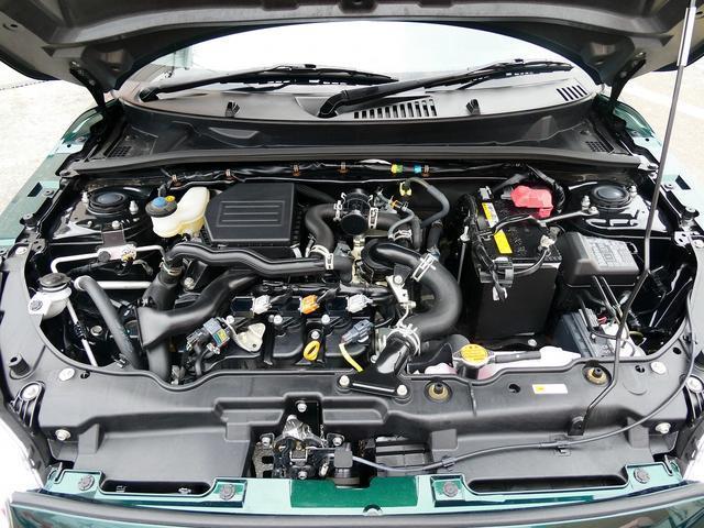 23689176_carP_l_18.jpg