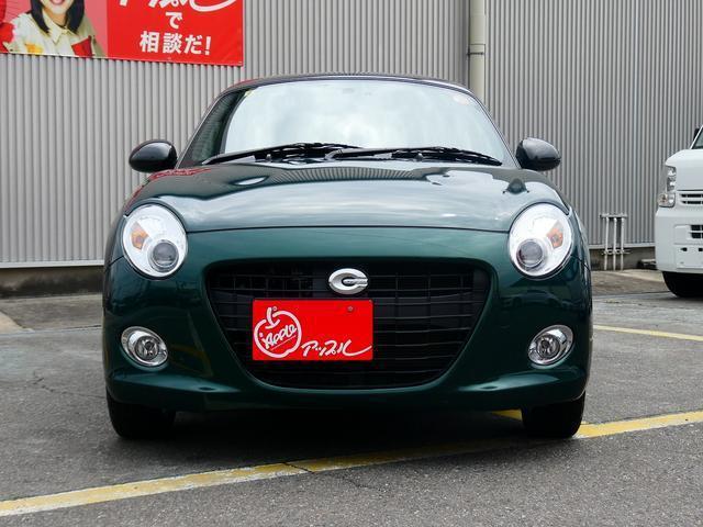 23689176_carP_l_7.jpg