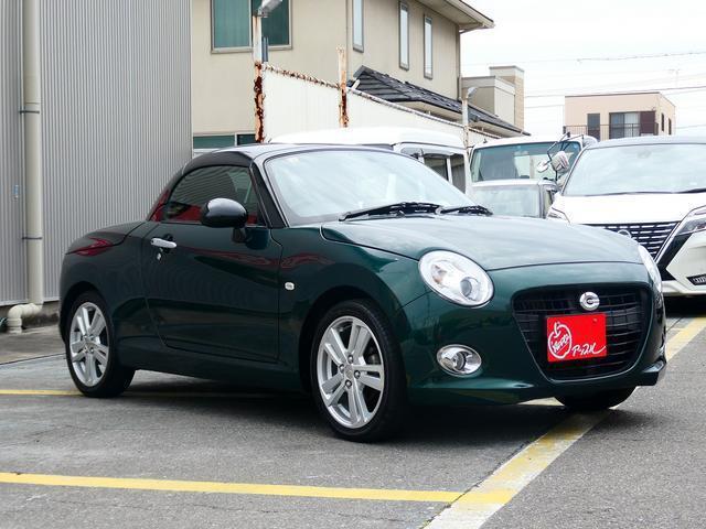 23689176_carP_l_8.jpg