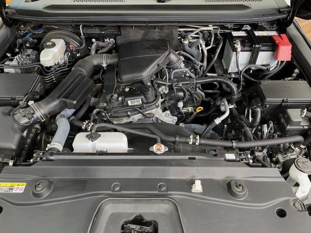 26126610_carP_l_20.jpg