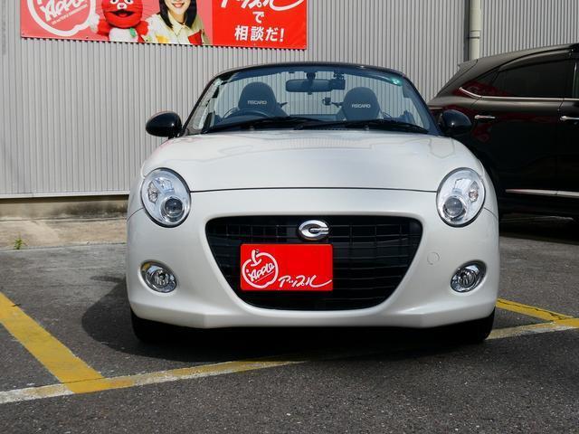 23689177_carP_l_7.jpg
