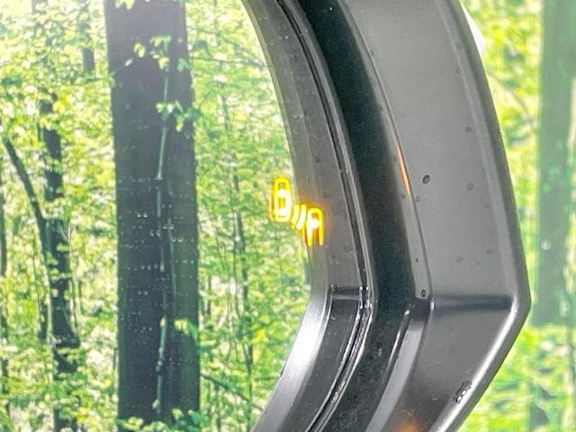 23715948_carP_l_17.jpg
