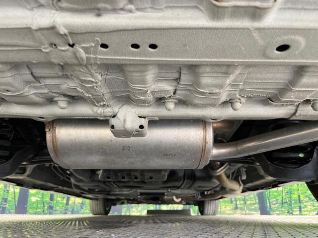 24239707_carP_l_20.jpg