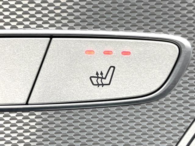 26063413_carP_l_14.jpg
