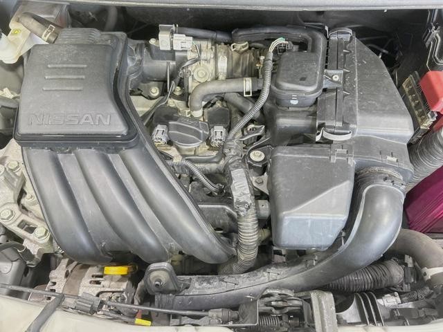 25829812_carP_l_16.jpg