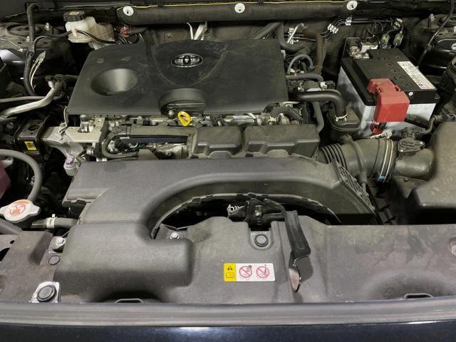 24706416_carP_l_16.jpg