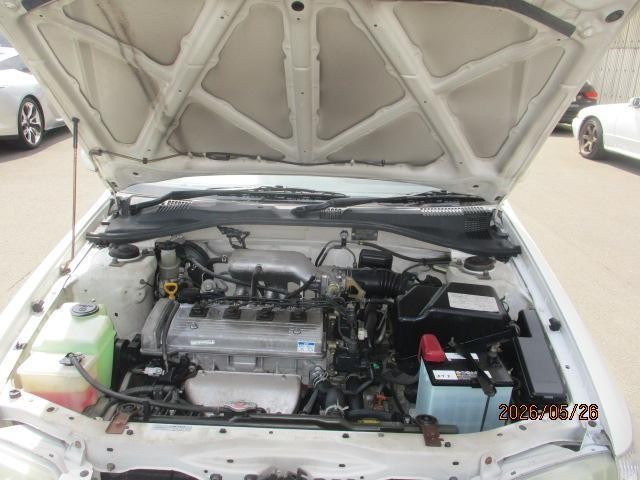 25885436_carP_l_17.jpg