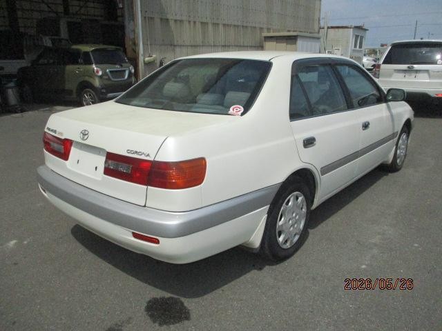 25885436_carP_l_7.jpg