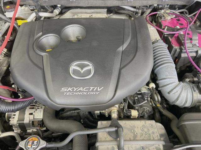 23458491_carP_l_18.jpg