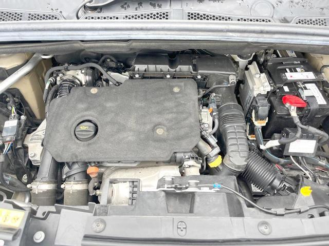 24828230_carP_l_18.jpg