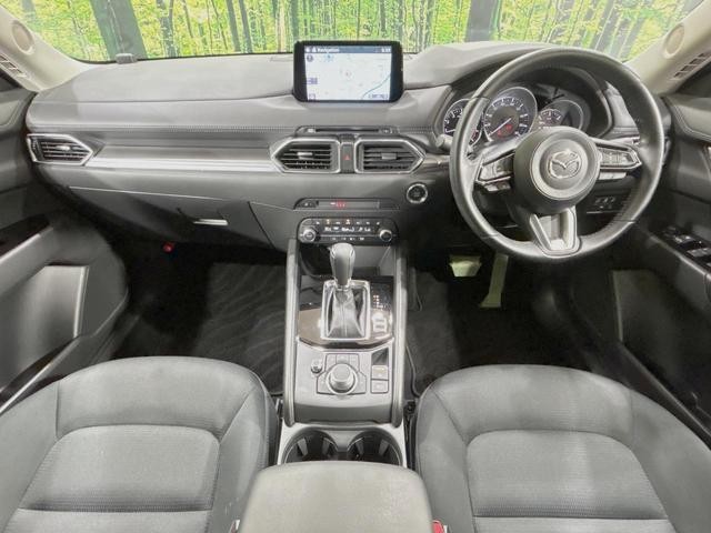25056507_carP_l_3.jpg