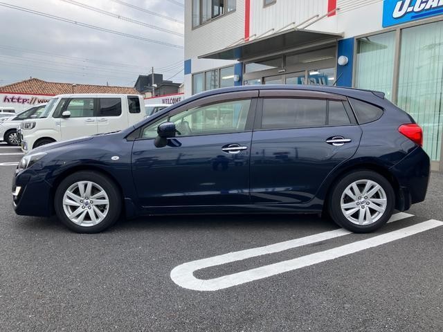 25030994_carP_l_5.jpg