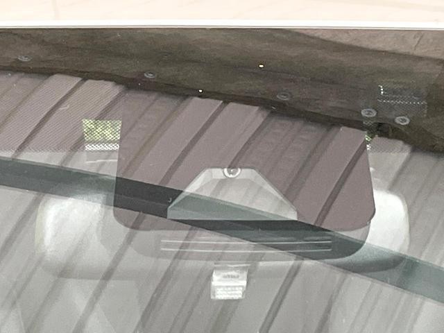 26468924_carP_l_3.jpg