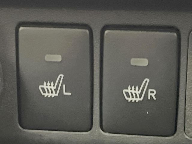 26126647_carP_l_14.jpg